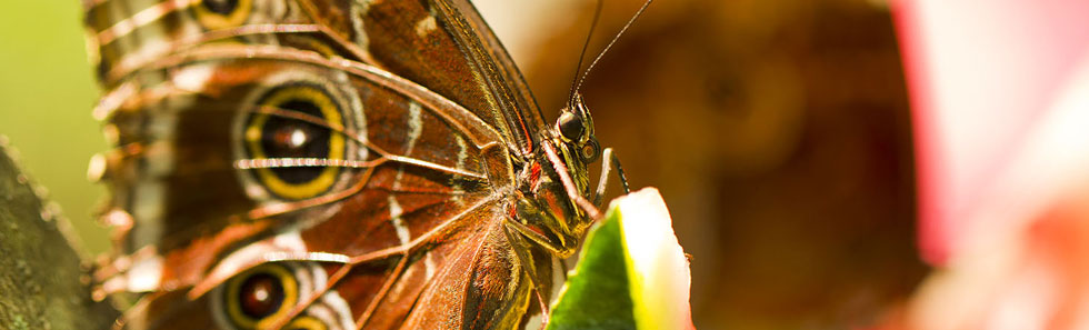 在线DDOS攻击平台