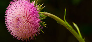 免费DDOS攻击测试工具